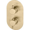 Two Outlet Shower Valve - Brushed Brass