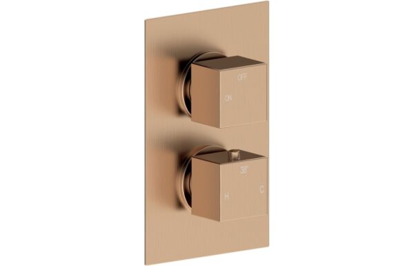 Ashby Thermostatic Single Outlet Twin Shower Valve - Brushed Bronze