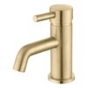 Fulton Cloakroom Basin Mixer & Waste - Brushed Brass