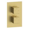 Ashby Thermostatic Two Outlet Twin Shower Valve - Brushed Brass