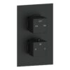 Ashby Thermostatic Two Outlet Twin Shower Valve - Matt Black