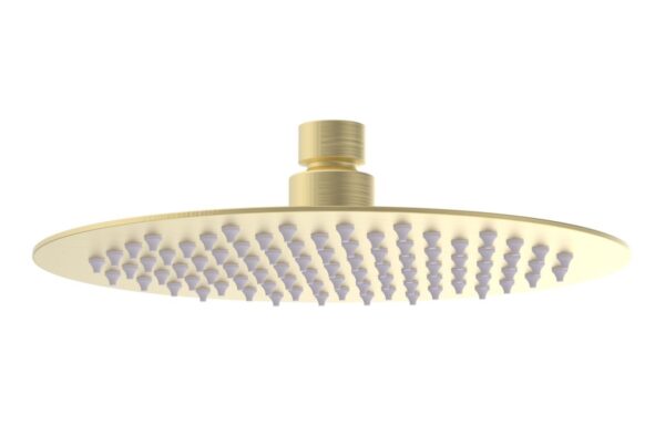 Grove 200mm Round Ultraslim Showerhead - Brushed Brass