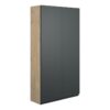 Tewin 600mm Slim 2 Door Storage Unit - Matt Graphite Grey (Oak Cab)