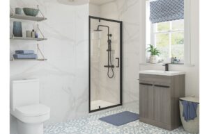 Aqua Silver 700mm Pivot Door - Matt Black