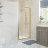 Aqua Silver 700mm Pivot Door - Brushed Brass