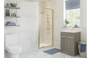 Aqua Silver 900mm Pivot Door - Brushed Brass