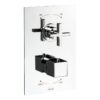 Abode Serenitie Concealed Shower (2 Exit) - Antique Brass