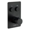 Abode Uno Concealed Push Button Shower (2 Exit) - Brushed Brass