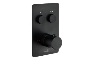 Abode Uno Concealed Push Button Shower (2 Exit) - Brushed Brass