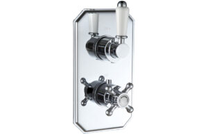 Two Outlet Shower Valve - Brushed Brass