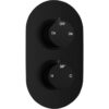 Ashby Thermostatic Two Outlet Twin Shower Valve - Matt Black