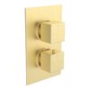 Vema Tiber Single Outlet Shower Mixer - Brushed Brass