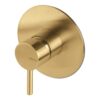Vema Tiber Two Outlet Shower Mixer w/Diverter - Brushed Brass