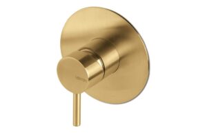 Vema Tiber Two Outlet Shower Mixer w/Diverter - Brushed Brass