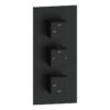 Ashby Thermostatic Two Outlet Triple Shower Valve - Brushed Brass