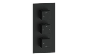 Ashby Thermostatic Two Outlet Triple Shower Valve - Brushed Brass