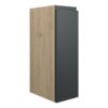 Tewin 200mm Standard Toilet Roll Unit - Matt Graphite Grey (Oak Cab)