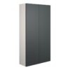 Truro 600mm Slim 2 Door Storage Unit - Matt Graphite Grey (Grey Cab)