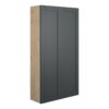Verity 600mm Slim 2 Door Storage Unit - Matt Graphite Grey (Oak Cab)