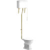 London High Level WC & Satin White Wood Effect Seat w/Br.Brass Finishes