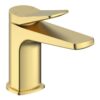 Glenwood Basin Mixer & Waste - Brushed Brass