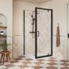Aqua Silver 760mm Pivot Door - Matt Black