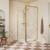 Aqua Silver 760mm Pivot Door - Brushed Brass