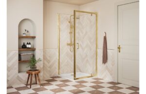 Aqua Silver 700mm Pivot Door - Brushed Brass