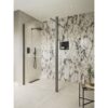 Aqua Platinum Optional 1950x300x8mm Rotatable Wetroom Panel (Full Hinge) - Gunmetal