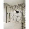 Aqua Platinum 500mm Wetroom Side Panel & Arm - Gunmetal