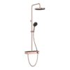 VitrA Aqua Core Round Shower System w/250mm Showerhead & Handshower - Brushed Brass